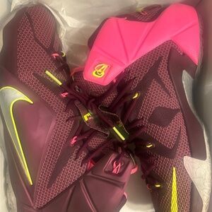 LeBron 12